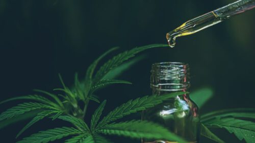 De kracht van CBD betalend artikel juli 2024 header artikel Bloom web