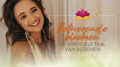 De spirituele taal van bloemen Davina Cohen Bloom 8 header artikel Bloom