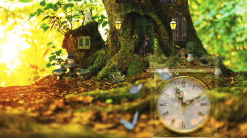 Divine Timing houdt van jou Lynn Brosens header artikel Bloom