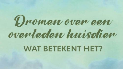 Dromen Overleden Huisdier Betekenis Bloom 2203