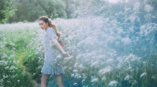 Droominterpretatie Bloom Online