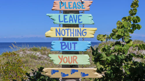 Duurzaam reizen sustainable travel Travelrebel Bloom web