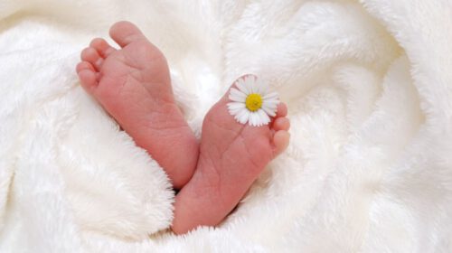 Effect geboorte op verdere leven 2 Marianne Vervoort header artikel Bloom
