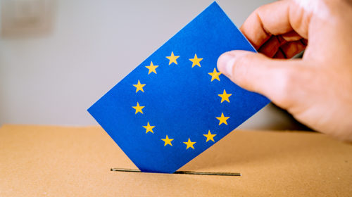 Europese verkiezingen yves polet Bloom web