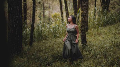 Forest Bathing Bloom 2021 september