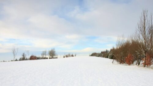 Header Boekreview Tina Wellens Voorbij de dood