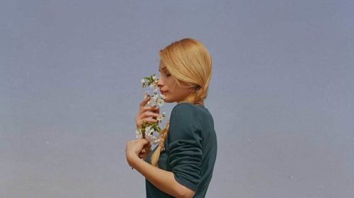 Helder ruiken wierook Bloom web