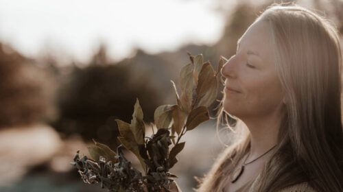 Het Rijk van Holle Eva Marijnissen header artikel Bloom december 2024