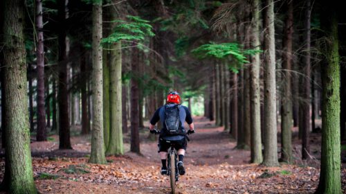 Impact sporten op gezondheid Whitepress Artikel Bloom LR
