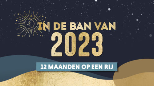 Yves Polet 1é maanden overzicht 2022 Bloom 2201