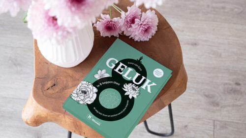 Irene van Gent Geluk in 8 koppen thee Boekentip Bloom header 2