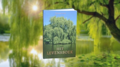Josyanne Groot Het Levensboek header artikel Bloom jpeg