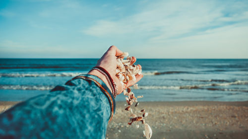 Kaurileggingen-schelpen-en-inzicht-Bloom-web
