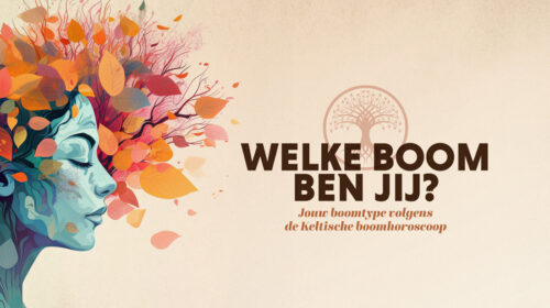 Keltische Boomhoroscoop Marianne Vervoort header artikel Bloom