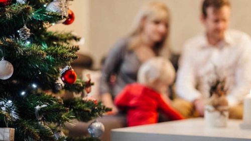 Kerstmis adoptie Bloom web