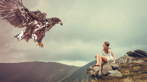 Krachtdieren spirit animal levensgids Bloom web