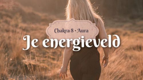 Laura Nidhan Chakra 8 Aura Bloom 8 header artikel Bloom