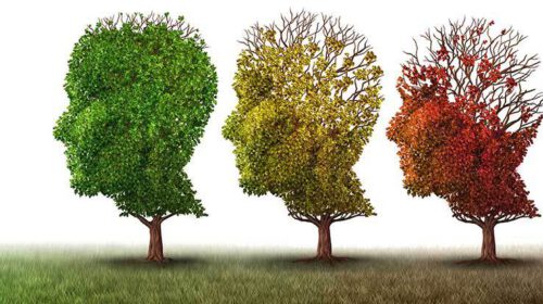 Leven met jongdementie alzheimer interview hersenen Bloom web