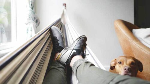 Levendigheid in ontspanning tips Bloom web