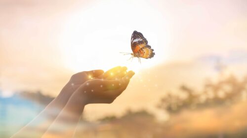 Lezing Gevoelens Angst Geluk Bloom