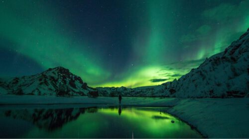 Maaike Kerstens Kleur Groen Artikel Bloom