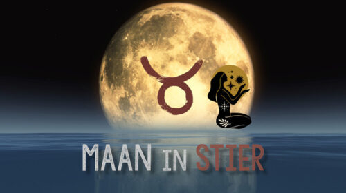 Maan in Stier