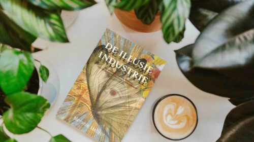 Melanie Mehrer Illusie Industrie Boek Review Online