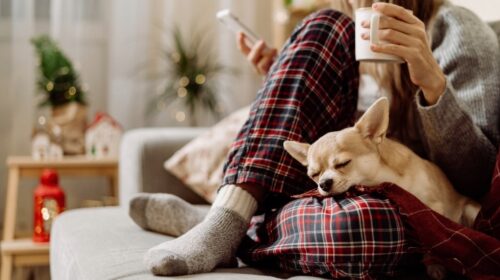 Nooit meer koude voeten zo kom je thuis volledig tot rust artikel bloom