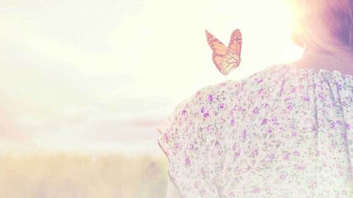 Ontpop Jezelf Sofie Varrewaere Bloom Web