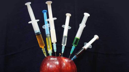 Oorlog vaccins vaccinaties corona Bloom web