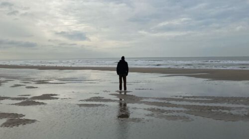 Op zoek naar Aurora Lander Vandenborre header artikel Bloom