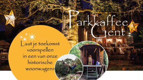 Parkkaffee Banner Bloom Online