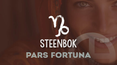 Gelukspunt in het teken Steenbok