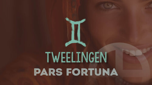 Gelukspunt in het teken Tweelingen