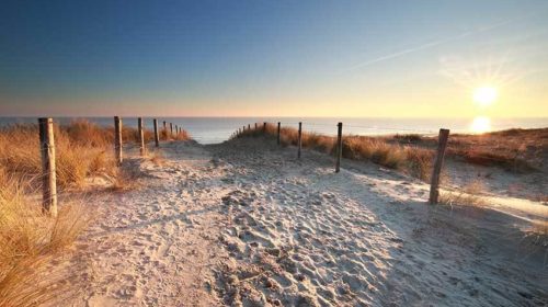 Publi zopuur detoxretreat Bloom web