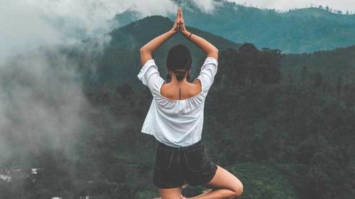 Raja yoga Bloom web
