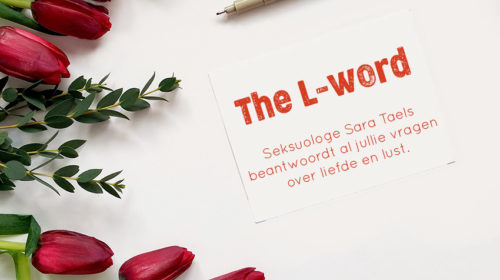 Sara Taels column liefde lust L word Bloom web