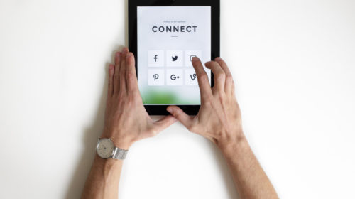 Social Media Bloom Web