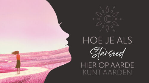 Starseeds Caroline Risack header artikel Bloom online