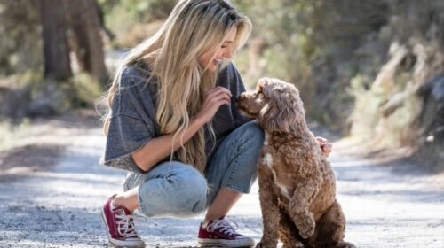 Steffi Vertriest Bloom 4 Introversie header artikel Bloom