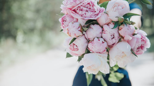 Ten Volle Bloomen Bloom Web