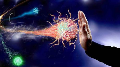 Tips corona voorkomen virus immuunsysteem Bloom web