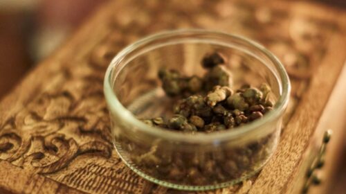 Truffelceremonie Bloom 2604 header