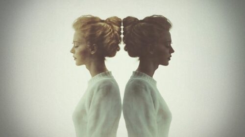 Tweelingzielen Petra Lemmens header artikel Bloom 2