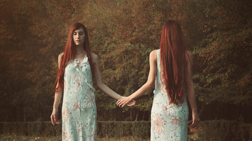 Tweelingzielen de fasen van het proces header Bloom web