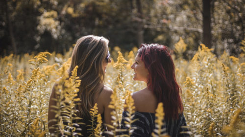 Tweelingzielen Deel 2 Bloom Web