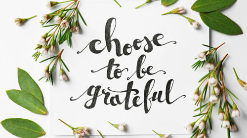Veerle Dobbelaere dankbaarheid choose to be grateful Bloom web