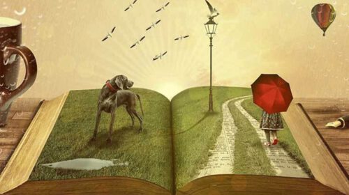 Verhalenschepper leven vereeuwigen op papier Bloom web