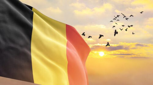 Verkiezingen juni 2024 Yves Polet header artikel Bloom 1