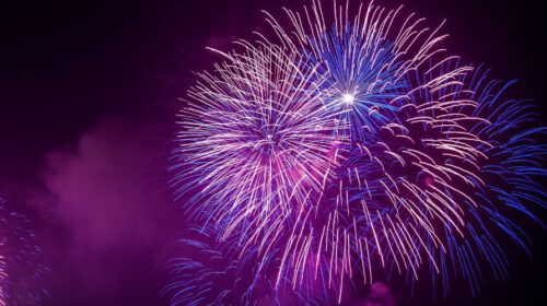 Violet kleuren onder de loep Maaike Kerstens header Bloom online